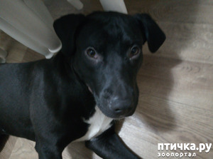 ����: � � ���������