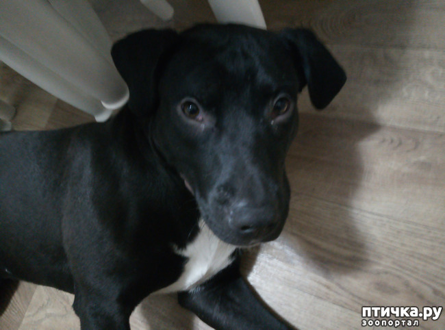 ���� 1: � � ���������