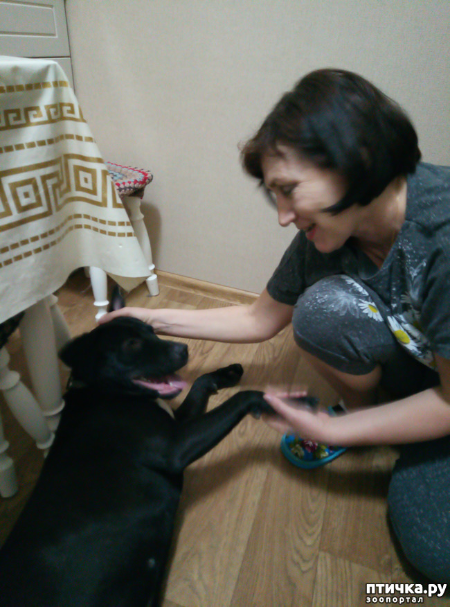 ���� 2: � � ���������