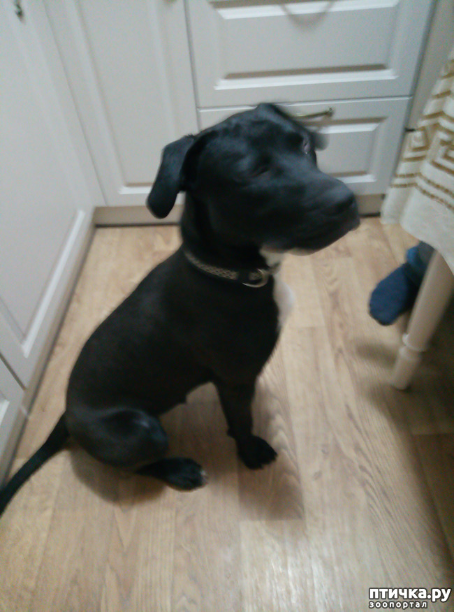 ���� 3: � � ���������