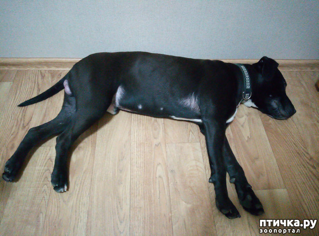 ���� 4: � � ���������