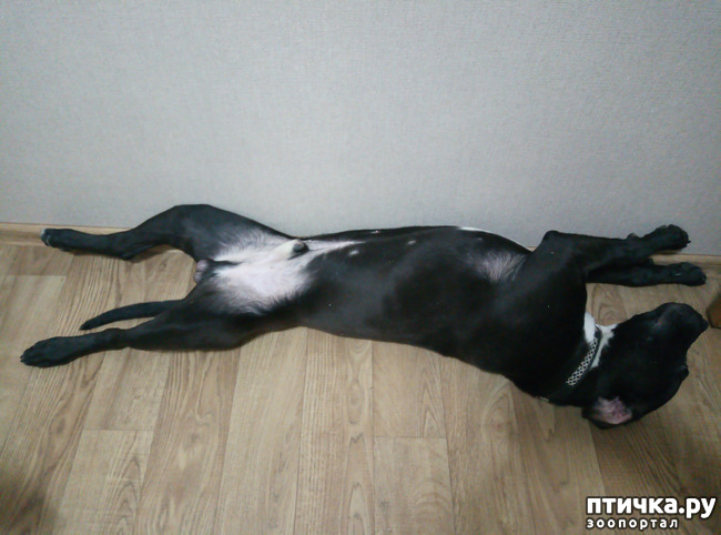 ���� 5: � � ���������