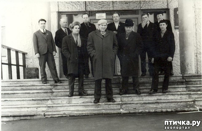 ���� 2: ��� � ������� ���������� ���� ��������� �����