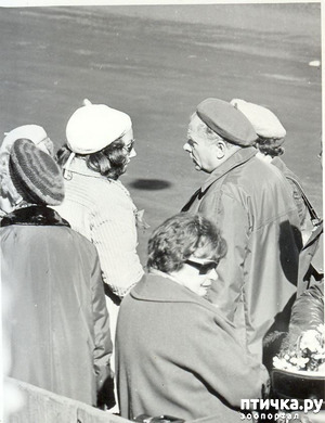 ����: ��� � ������� ���������� ���� ��������� �����