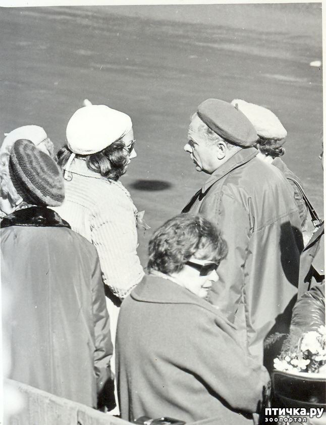 ���� 1: ��� � ������� ���������� ���� ��������� �����