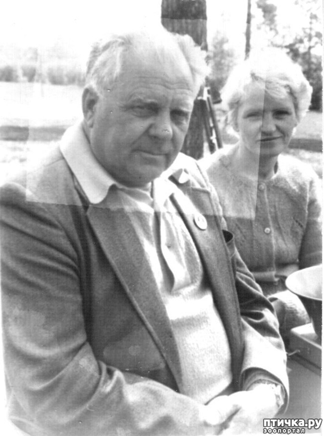 ���� 3: ��� � ������� ���������� ���� ��������� �����