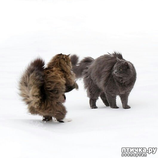 ���� 2: ����� �������� - ������ ������