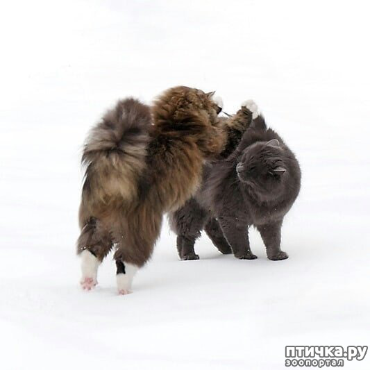 ���� 3: ����� �������� - ������ ������