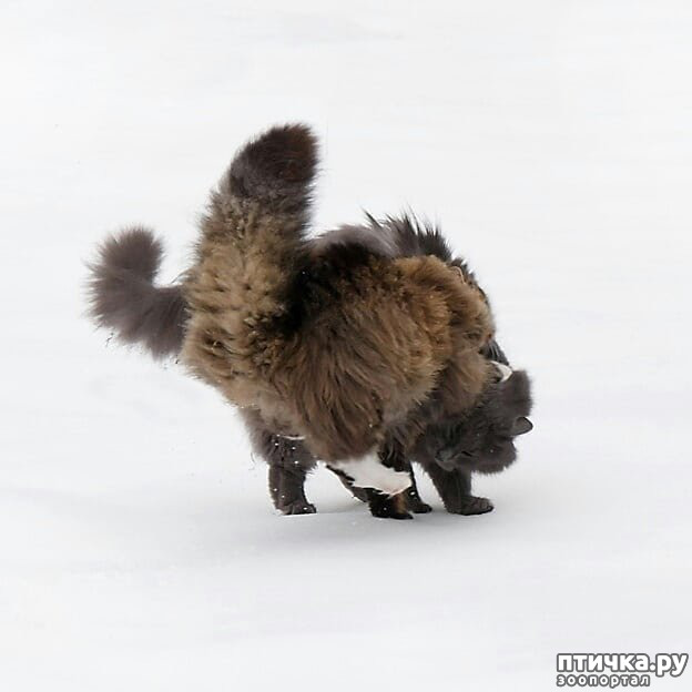 ���� 4: ����� �������� - ������ ������