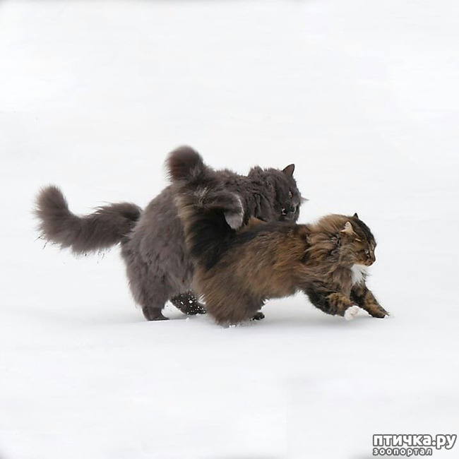 ���� 5: ����� �������� - ������ ������