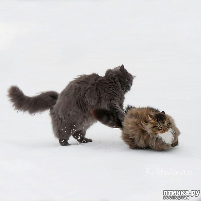 ���� 6: ����� �������� - ������ ������