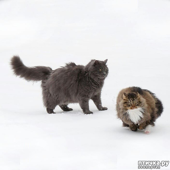 ���� 7: ����� �������� - ������ ������