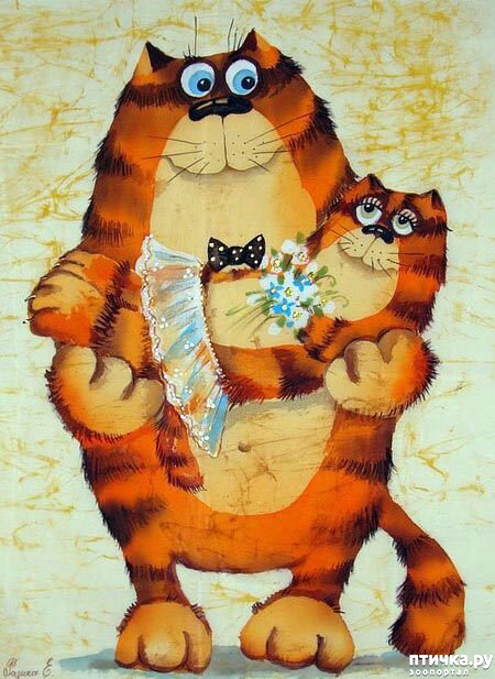 ���� 2: ���� �� �������