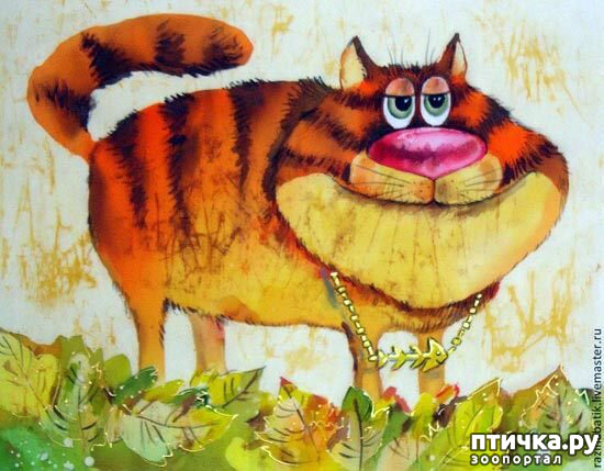 ���� 3: ���� �� �������