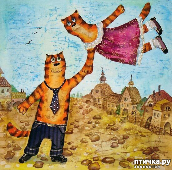 ���� 4: ���� �� �������