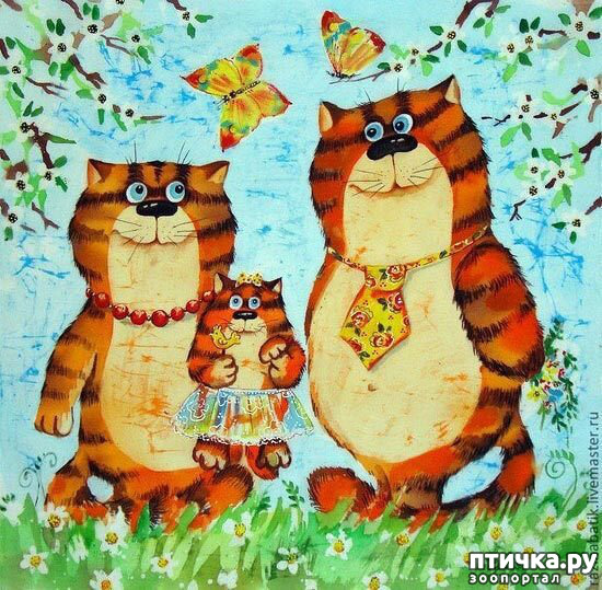 ���� 5: ���� �� �������