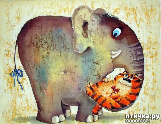 ���� 7: ���� �� �������