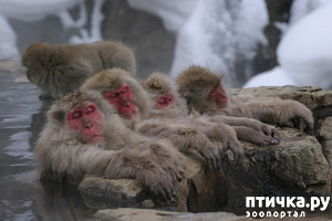 ����: ������� �������� - ��� ����� � ������