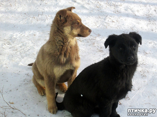 ���� 1: ��� ���������-������� ���������������!