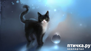 фотография: Шведская народная сказка о заколдованном коте. фото: Шведская народная сказка о заколдованном коте.