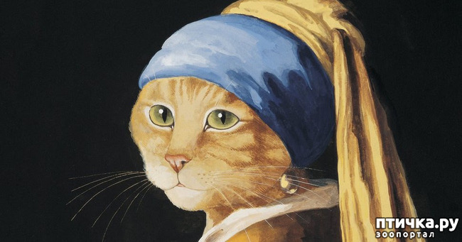 ���� 16: ������������� ������� � ������������ ������ ������� (Susann Herbert)