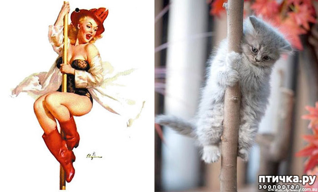 ���� 8: ����� � ����� ���-��