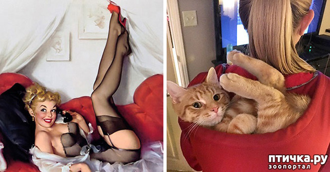 ���� 7: ����� � ����� ���-��