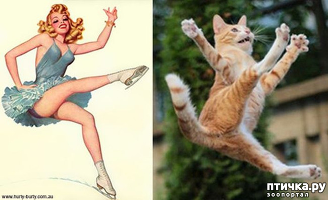 ���� 13: ����� � ����� ���-��