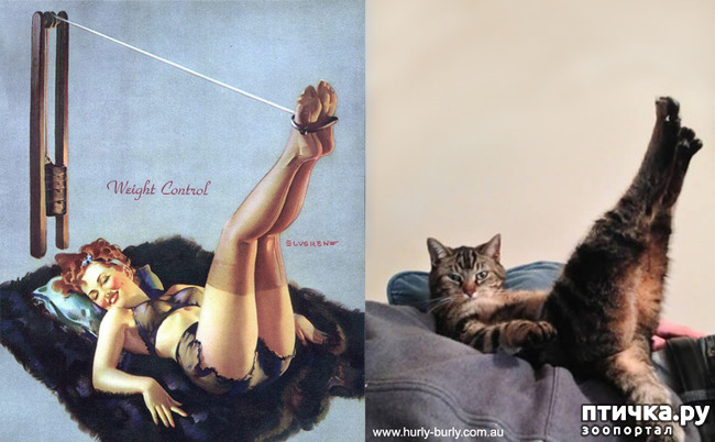 ���� 14: ����� � ����� ���-��