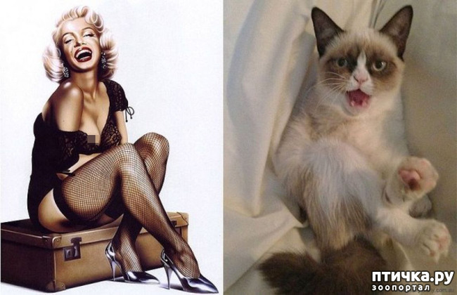 ���� 17: ����� � ����� ���-��