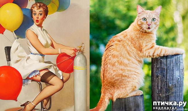 ���� 19: ����� � ����� ���-��