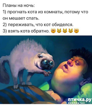 фотография: Планы на ночь фото: Планы на ночь