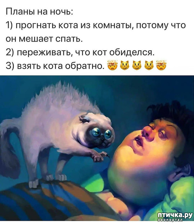 ���� 1: ����� �� ����