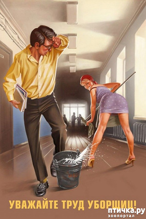 фотография: Кошки в стиле пин-ап фото: Кошки в стиле пин-ап