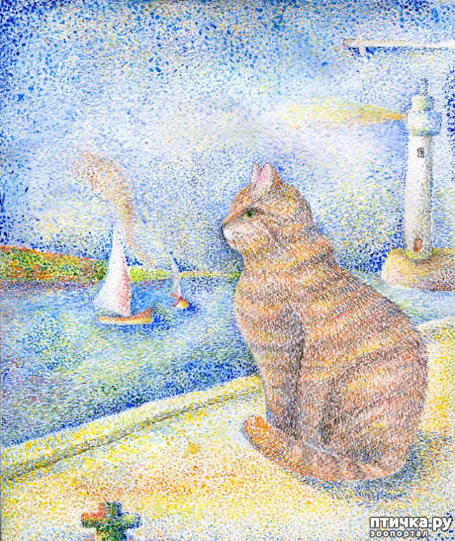 ���� 8: ������ �������