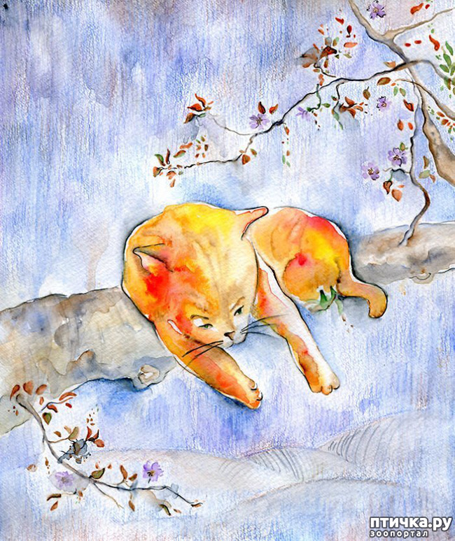 ���� 11: ������ �������