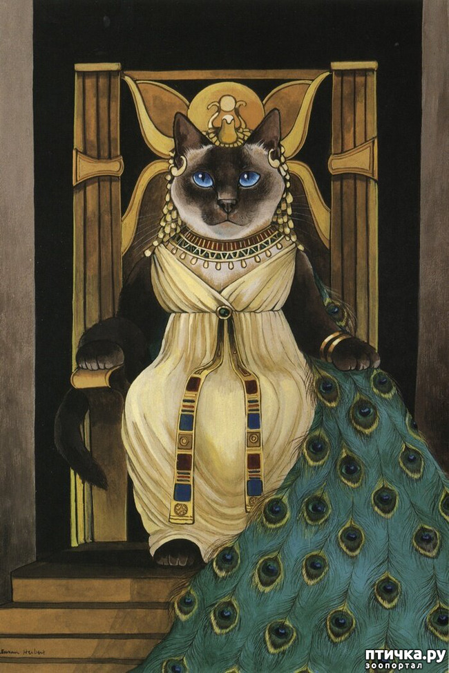 ���� 13: ������������� ������� � ������������ ������ ������� (Susann Herbert)