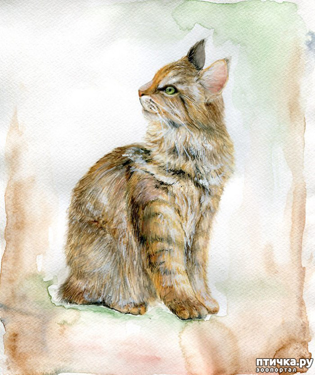 ���� 12: ������ �������