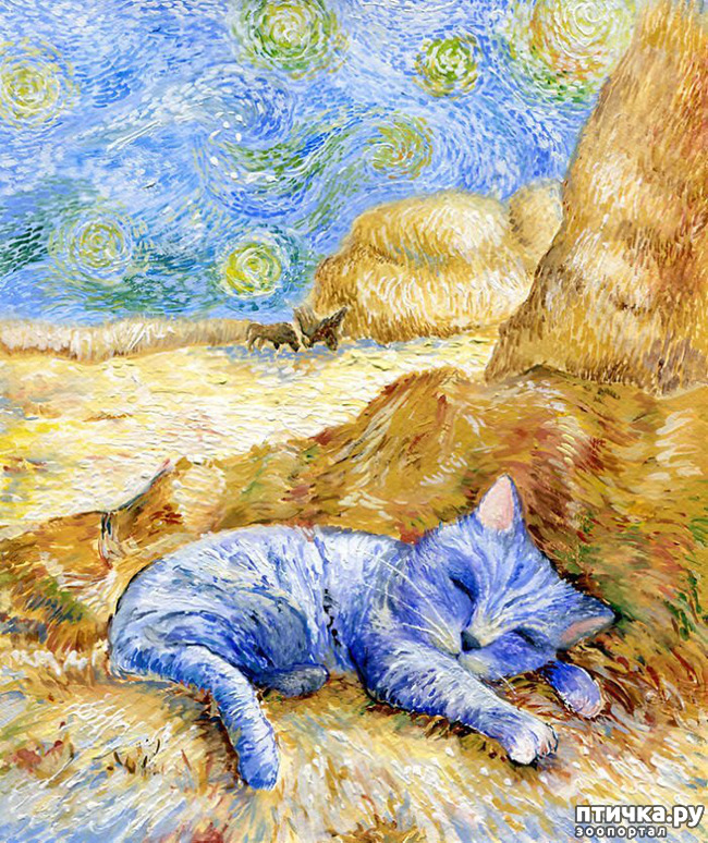 ���� 2: ������ �������