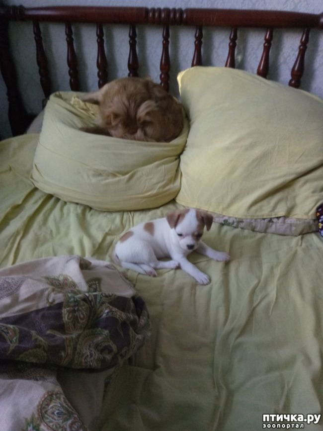 ���� 2: ���� ����.