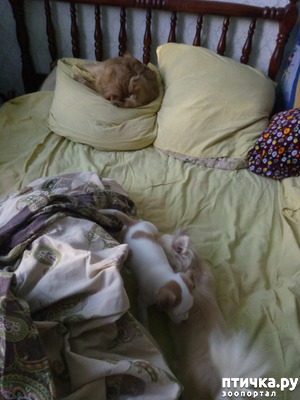 ����: ���� ����.