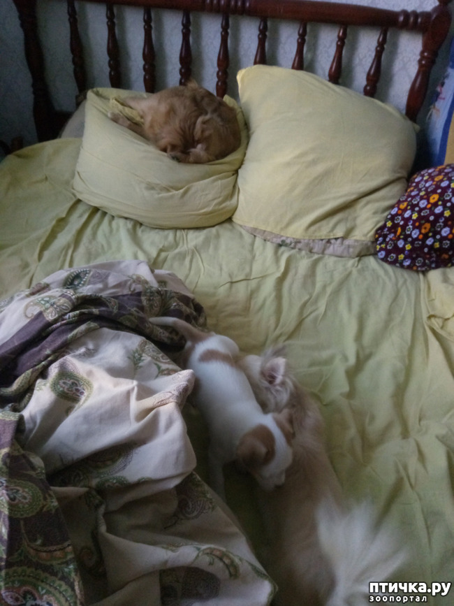 ���� 1: ���� ����.