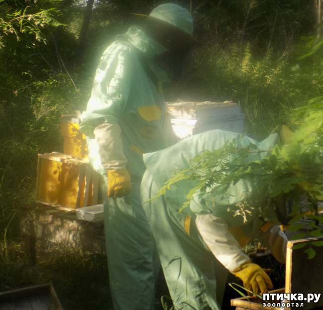 ���� 6: ������ ������ ���������.