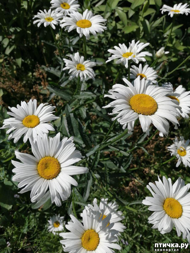 ���� 5: ��� ����������. �����, �������, �������, �������, ����������, �������� � ����.