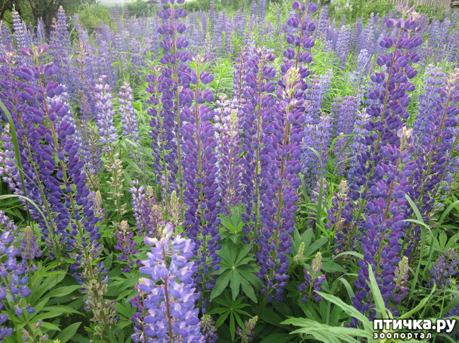 ���� 3: �� ���� ��, � �������