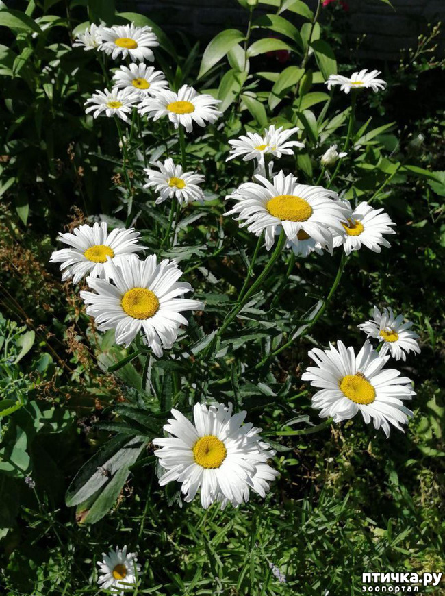 ���� 6: ��� ����������. �����, �������, �������, �������, ����������, �������� � ����.