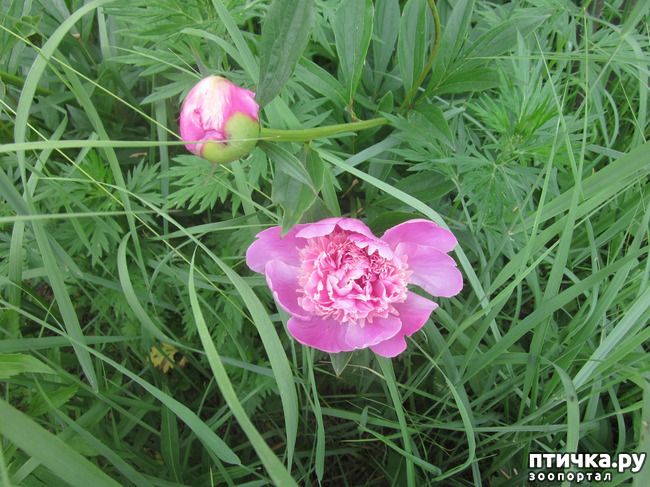 ���� 4: �� ���� ��, � �������