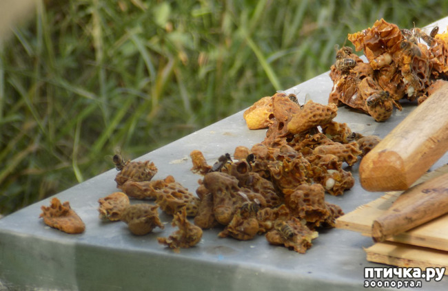 ���� 7: ������ ������ ���������.