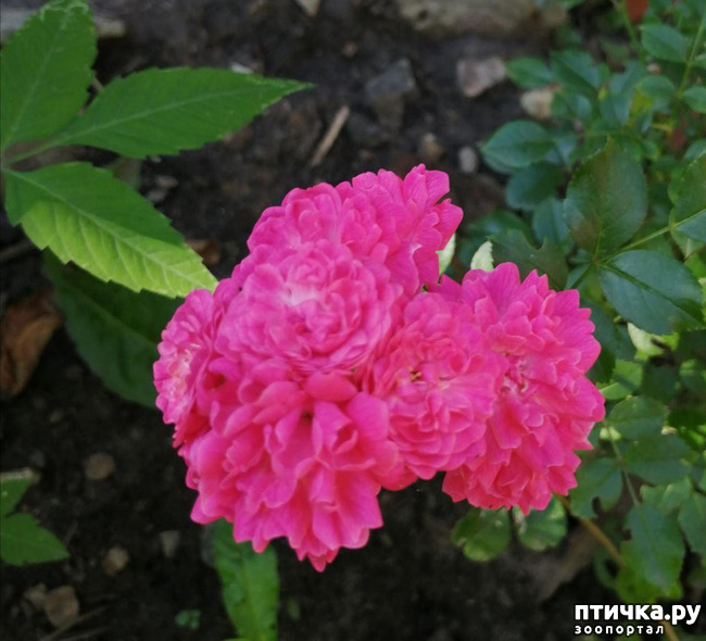 ���� 7: ��� ����������. �����, �������, �������, �������, ����������, �������� � ����.