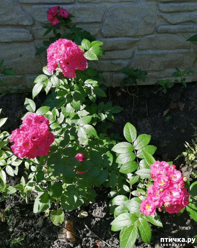 ���� 8: ��� ����������. �����, �������, �������, �������, ����������, �������� � ����.